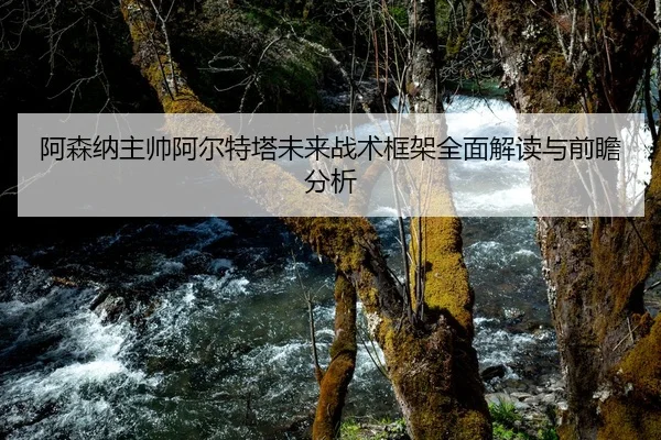 阿森纳主帅阿尔特塔未来战术框架全面解读与前瞻分析